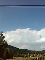 Borovnice