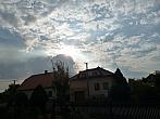 Třibřichy