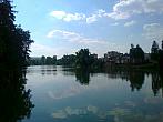 Borovina