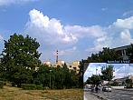 Borovina