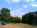 Borovina