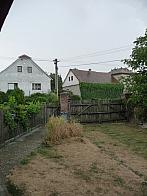 Třibřichy