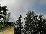Borovina