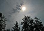 Borovina