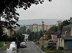 Borovina