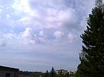 Borovina