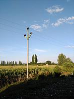 Dětenice