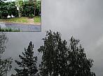 Borovina
