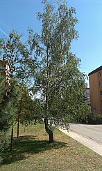Třebíč