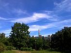 Borovina