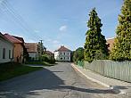 Třibřichy