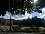 Borovina