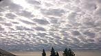 Tachov