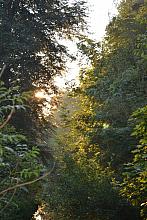Tučapy