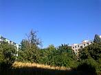 Borovina