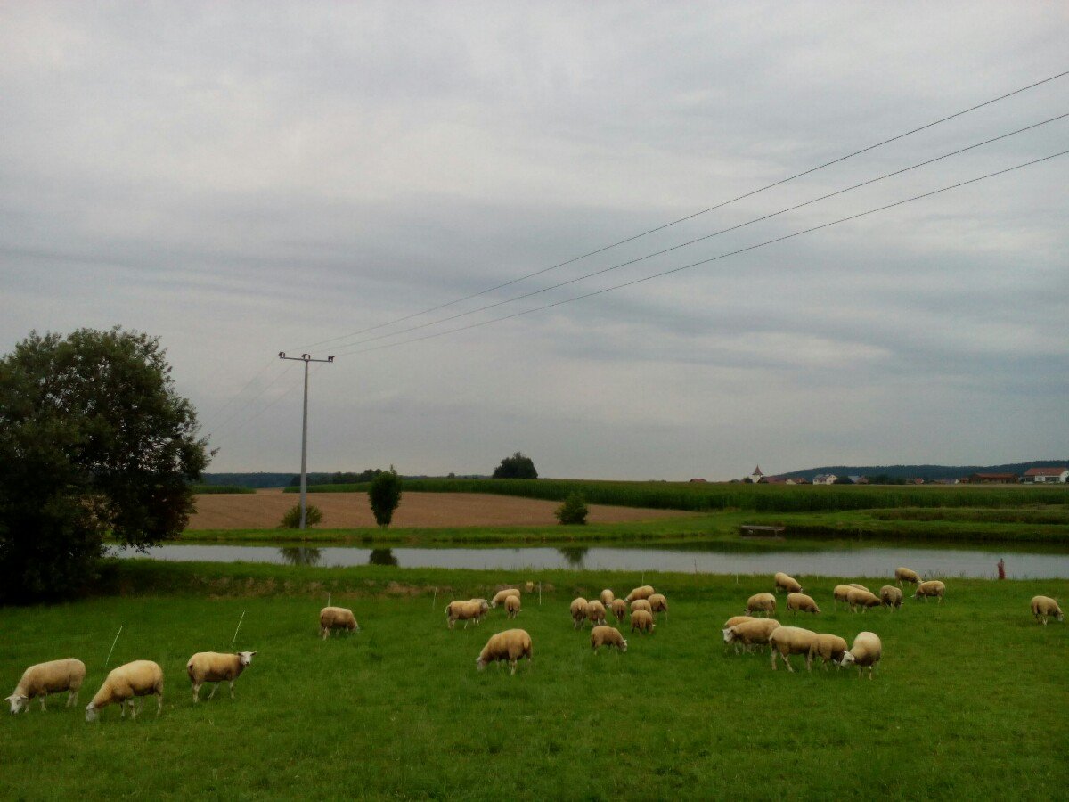 Fensterbach
