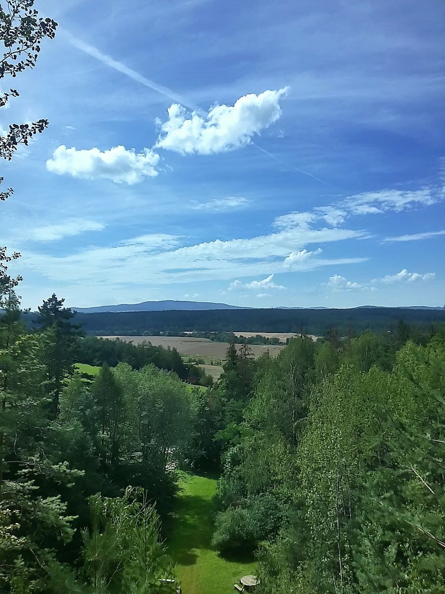 Vidov