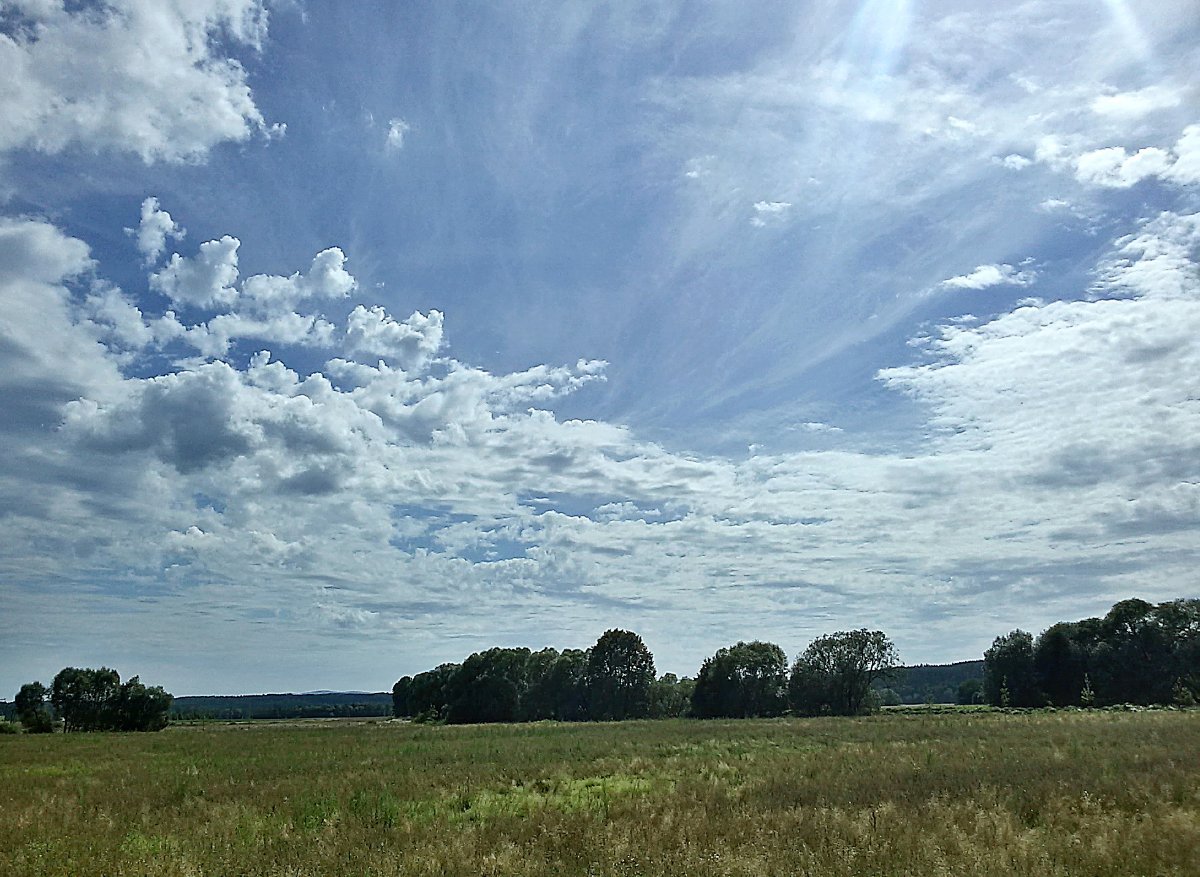 Vidov