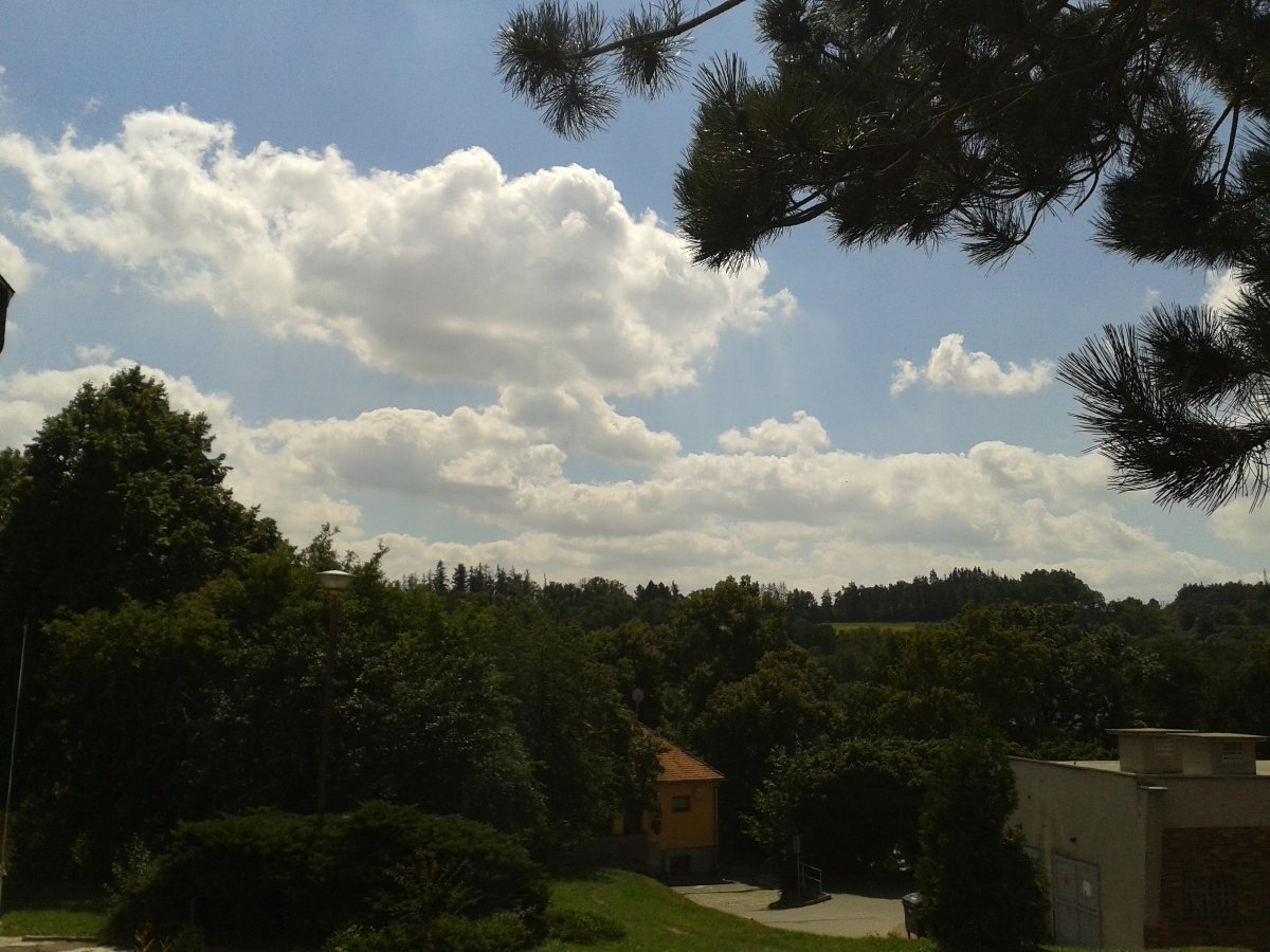 Borovina