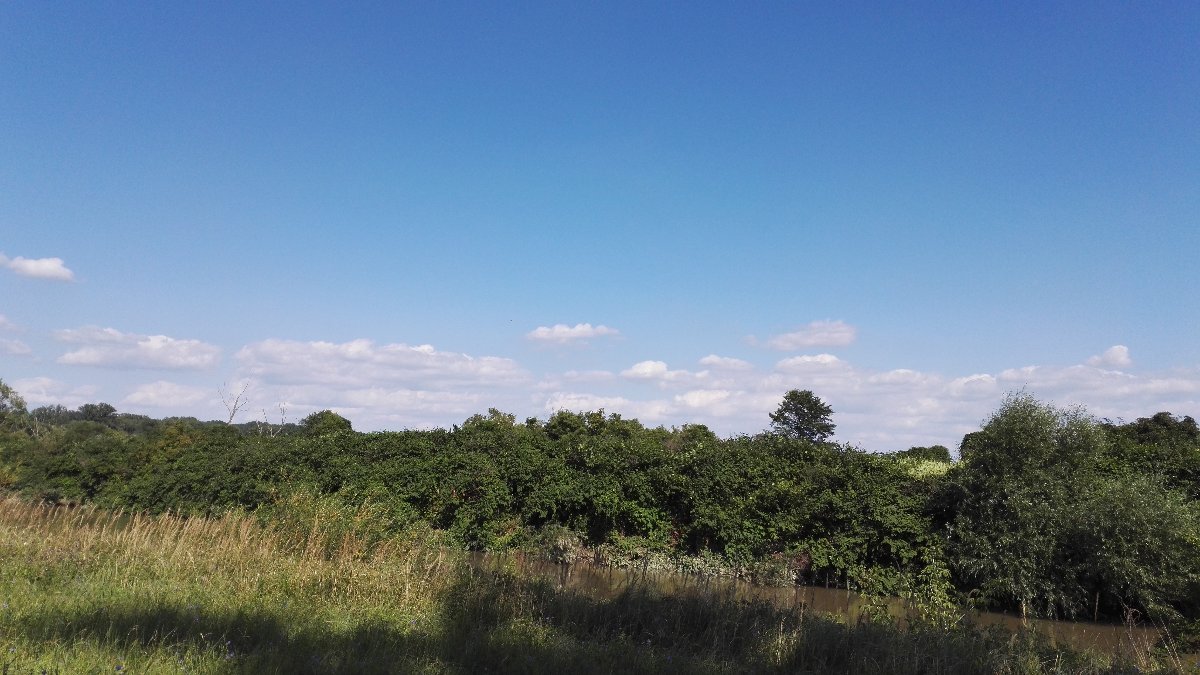 Císařov