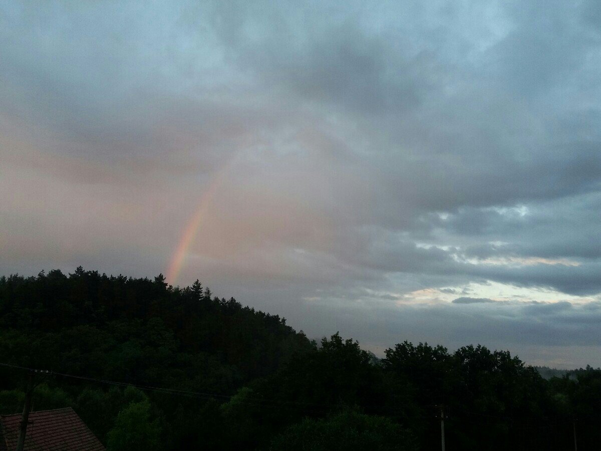 Druztová