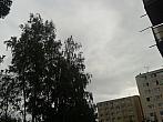Borovina