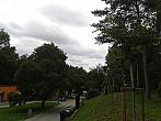 Borovina