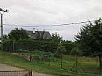 Třibřichy