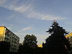 Borovina