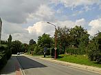 Borovina