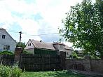 Třibřichy