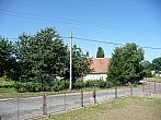 Třibřichy