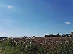Lanškroun