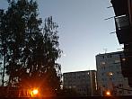 Borovina