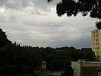 Borovina