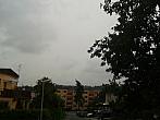 Borovina