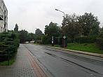Borovina