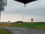 Třibřichy