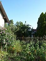 Třibřichy