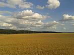 Rokytnice nad Rokytnou
