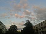 Borovina