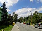 Borovina