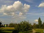 Borovina