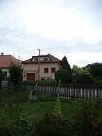 Třibřichy