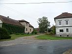 Třibřichy