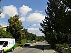 Borovina