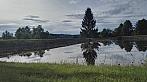 Plískov