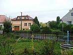 Třibřichy