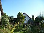 Třibřichy