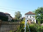 Třibřichy